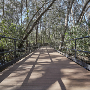 Centennial Pioneer Park