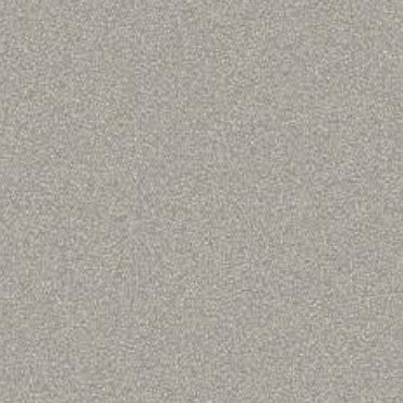 UC9205 Champagne