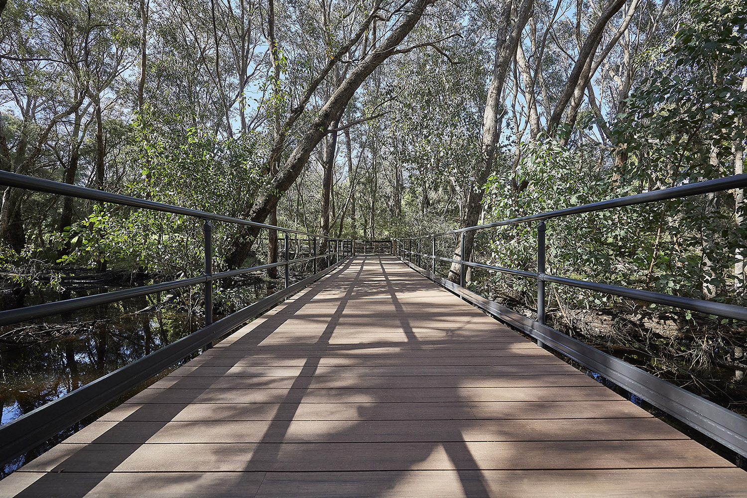 Centennial Pioneer Park